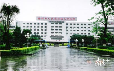 粤侨情浓!降温了,看完这些“送炭翁”的故事,心暖了