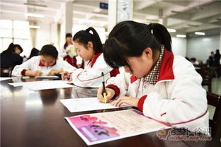 笔墨传承，青春飞扬——2016彭城书法大赛海选第三站走进徐州高级中学